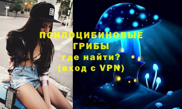 PSILOCYBIN Алексин