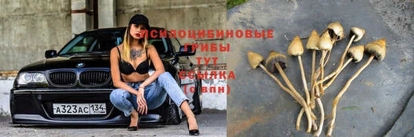 СК Арсеньев
